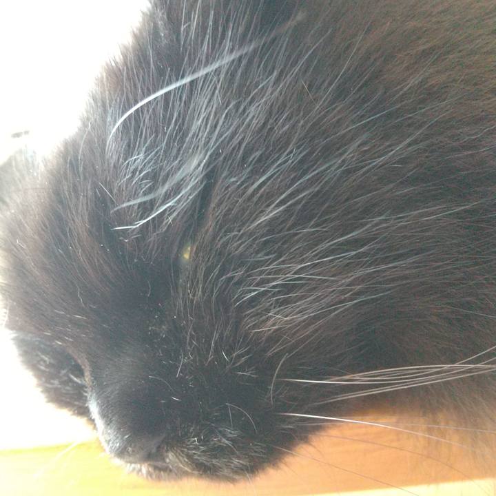 89dc72e2 72be 4704 acfd 51506b3548eb 1688370416257