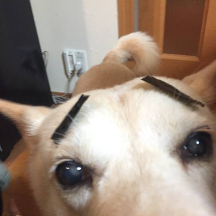 89dc7b97 6751 46c7 a559 ea8e14031514 1516371521205