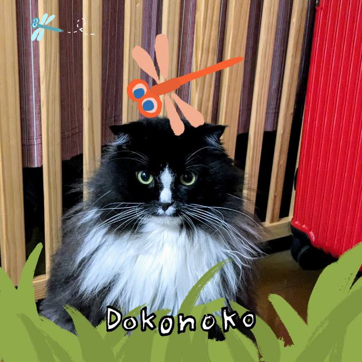 89dcc918 1e59 44b3 8057 e3c0b2e78c9f 1726802640118