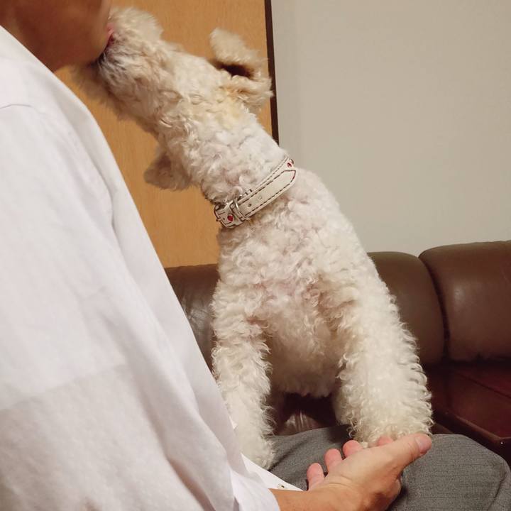 89dcd322 a1a2 4fa8 aeb8 ac825ff2eed9 1556200722063