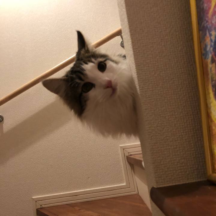 89dcd7ae 2759 4977 a3b1 dd52e661e1d0 1522199339170