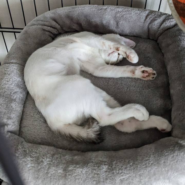 89dd01dc 9aaa 4f1b a4b7 38eb693905ad 1689746333756