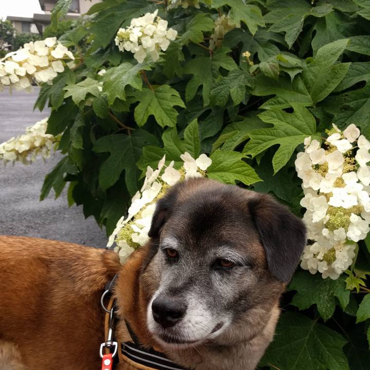 89dd41cf aa9f 4a79 a833 a1fa4a56b005 1609547893149