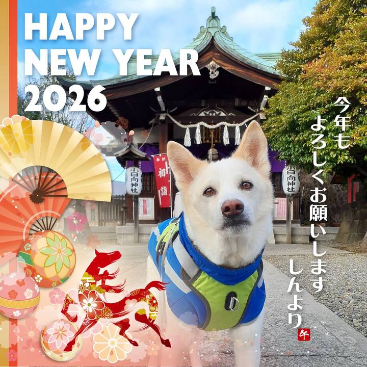 89dd5608 08ec 4751 a28b 52c75da089ab 1767277932532