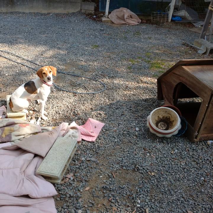 89ddacd6 f379 487e a5d0 85cc9ea6b10c 1581129931011