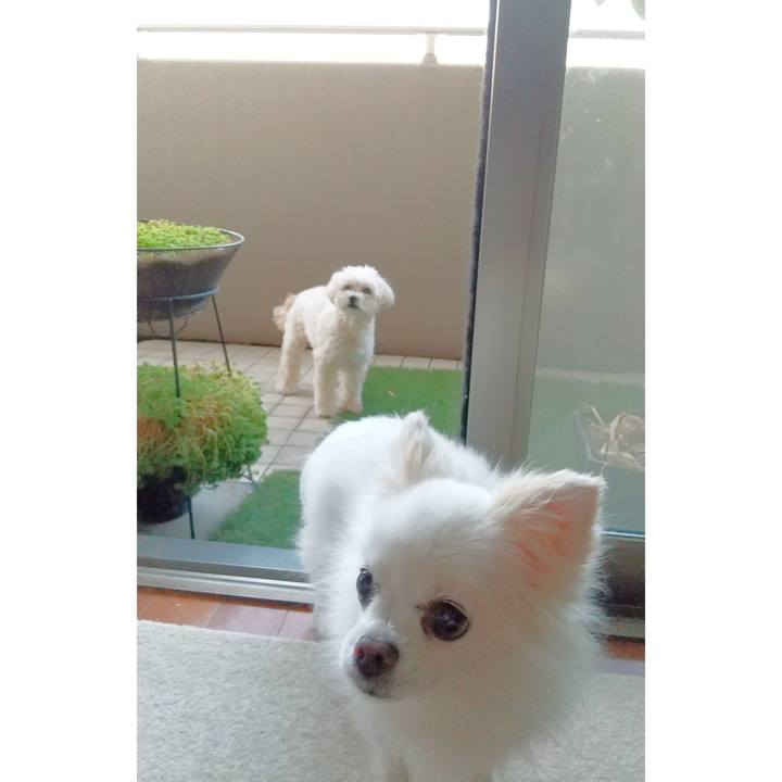 89dddcb6 5c26 4b91 be3a 4651aea62f2c 1657321840998