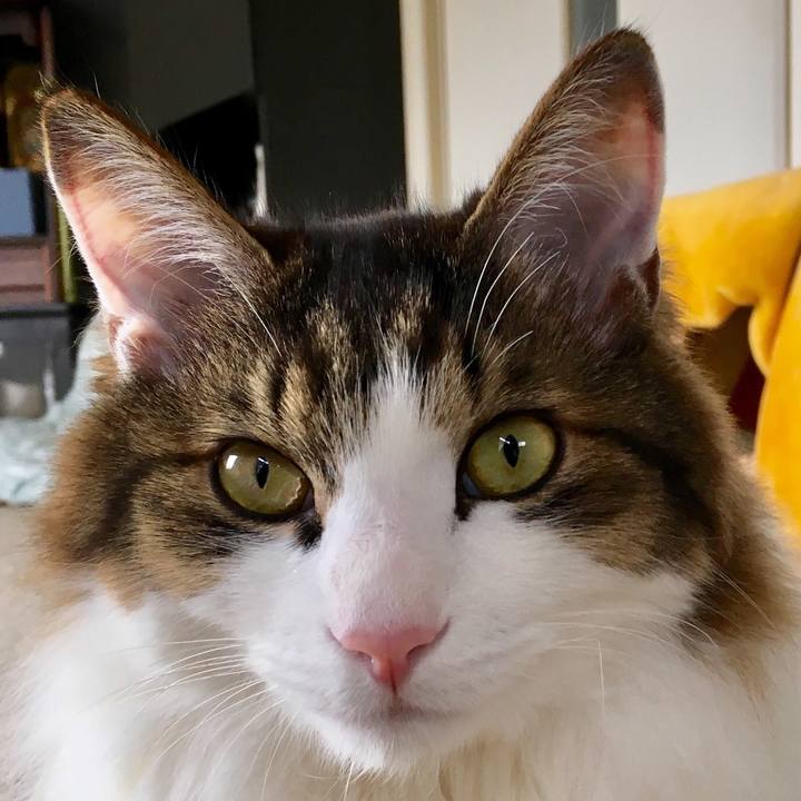 89ddde32 fe73 4ead a9ad 9ee61b395b80 1523065825511