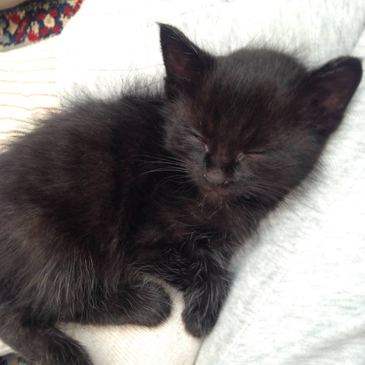 89dde1c9 37ad 41ec b60e 1b054c686c4d 1660553977636