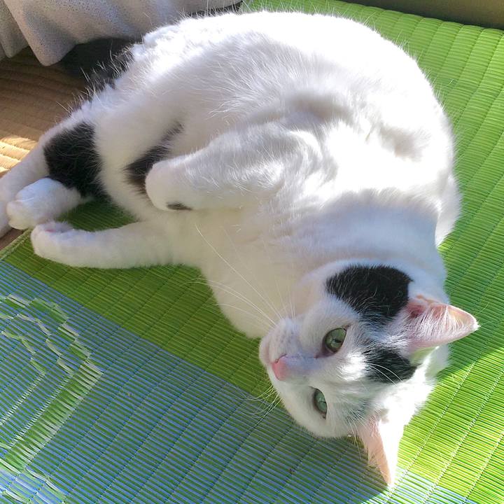 89dde652 304c 402b 8804 c34b89abaeaf 1614664137993