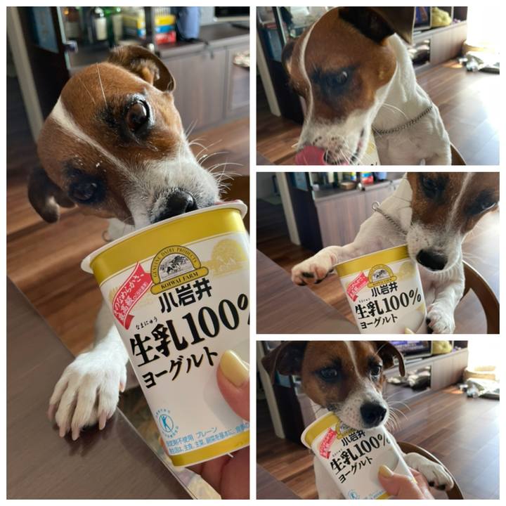 89ddfbdc d294 4a79 8966 4e04805e883c 1649414178398