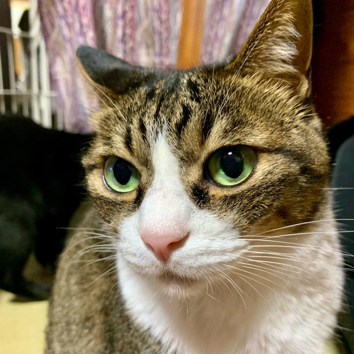 89de2084 4798 4a9d a438 ec1fbb1e195c 1654944597634