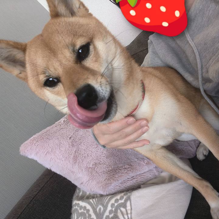 89de7295 c781 45cc b7dd 8e7ae646d86a 1766106012266