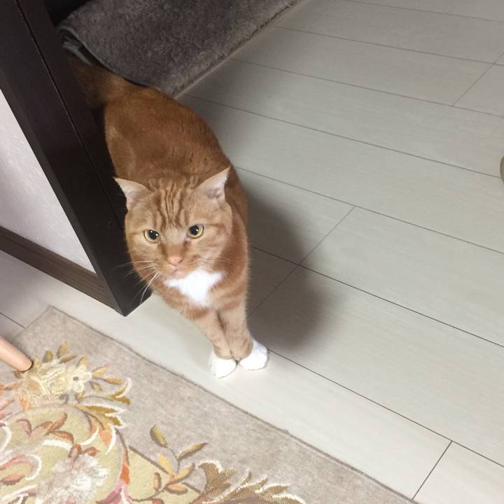 89de7b08 d7e7 402b b67f 7fcdf310abdd 1585370925072