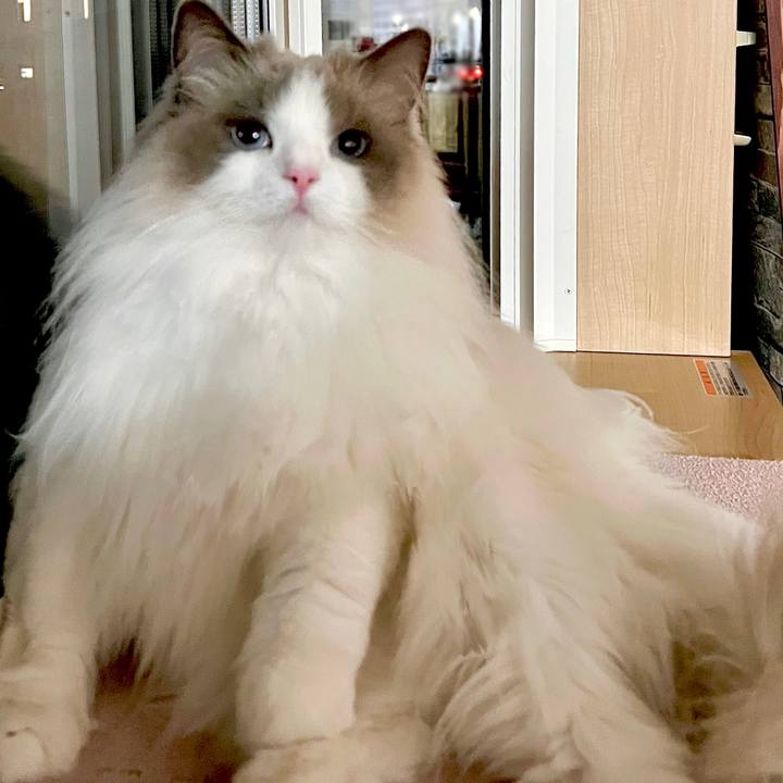 89deb4e4 8cf9 4478 8056 62fc4964c0fd 1648460210348