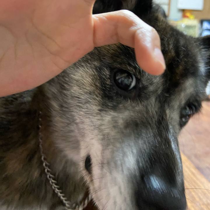 89deb75b b40a 4fcf 8828 385e299bae0f 1671274589888