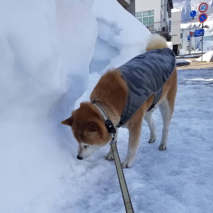 89ded964 61c4 4a49 9985 9e0943d58568 1646971481957