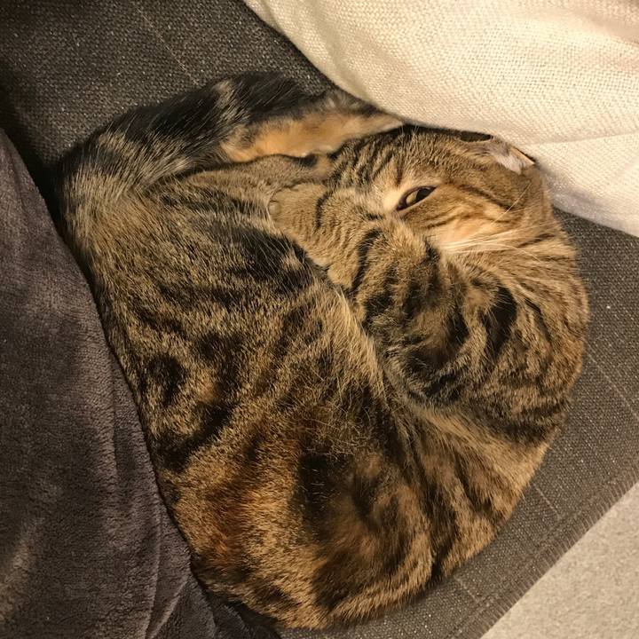 89def27d fe3c 4902 93c9 cfc7cbfed171 1513259458655