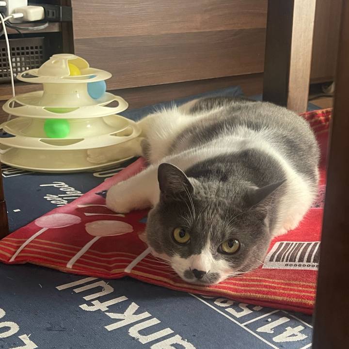 89df0cbf ecc6 41d8 ac30 42f9e8cd6f46 1716526869684