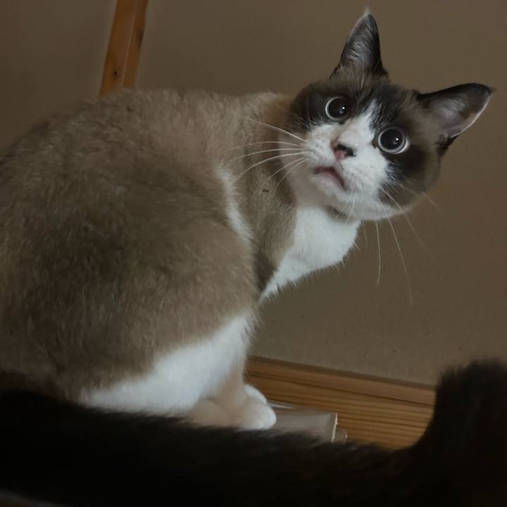 89df10c6 da0d 4ef6 9596 c7ab0058d2d7 1759522457296