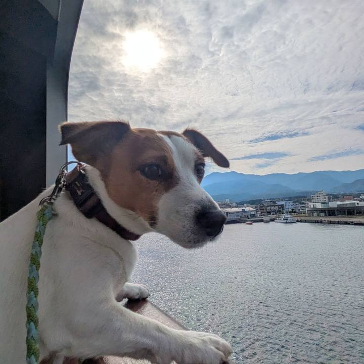 89df8b8a 947e 423c a0bd 71c7770484c4 1748611339748