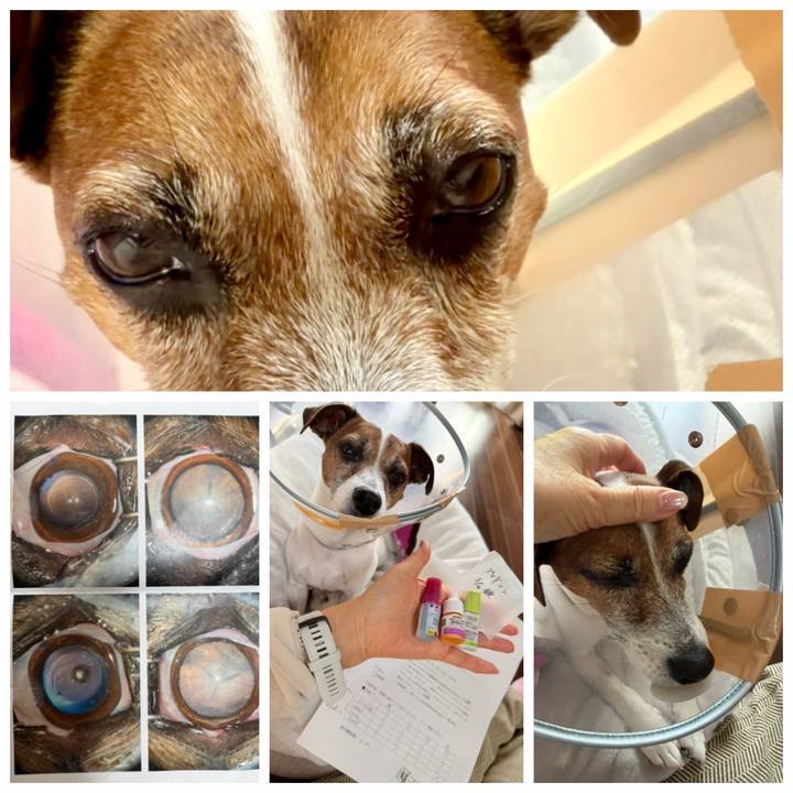 89df9cf0 f648 4c2e 8567 85c17f705829 1765496172798