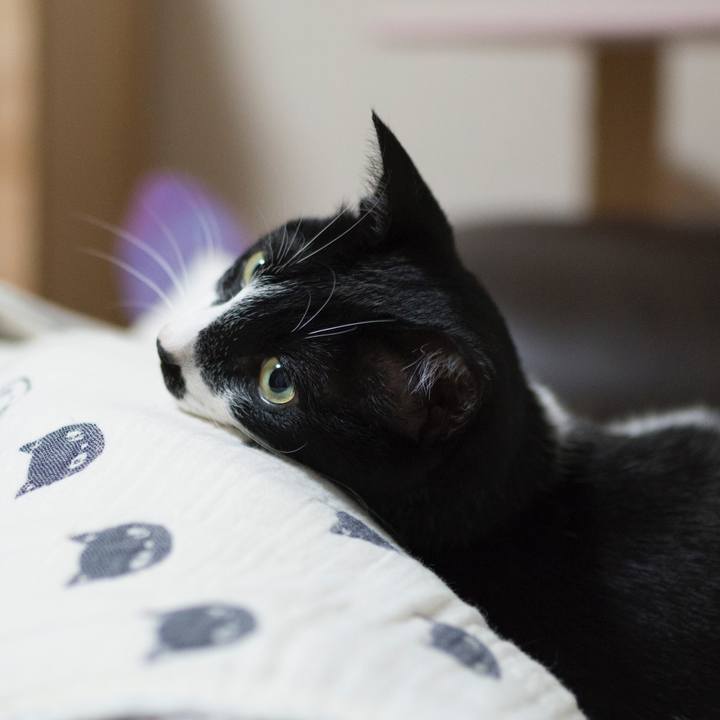 89e052ed a4b8 4300 bf61 15c686174751 1528564254424