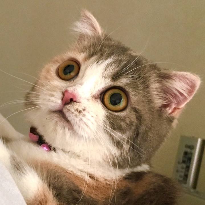 89e0651a e415 4751 90ac c2e126839656 1593944848557