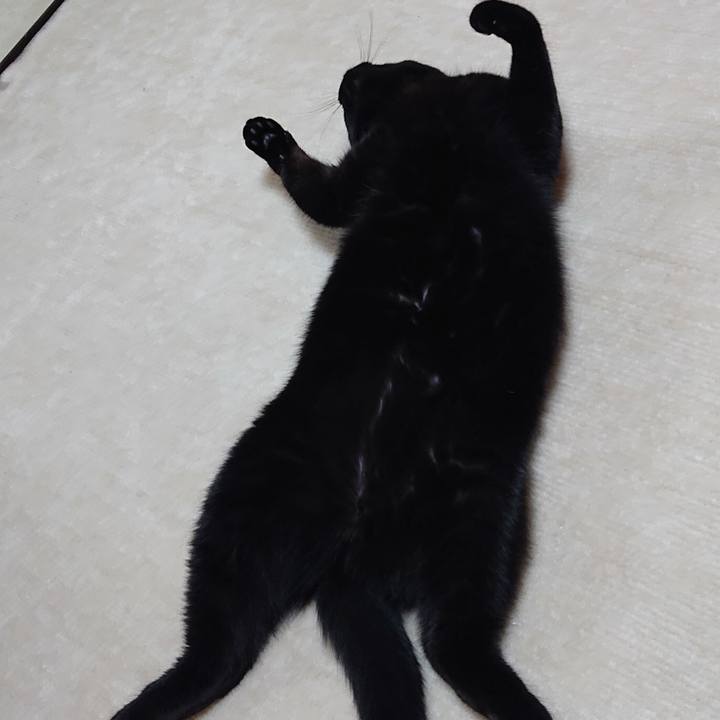 89e07bf6 fae1 4f52 93cc 8ff5bd5cc8db 1575592836544