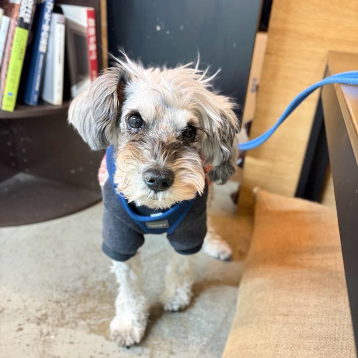 89e09ded 4381 416a a4a5 daf39341c154 1767800876590