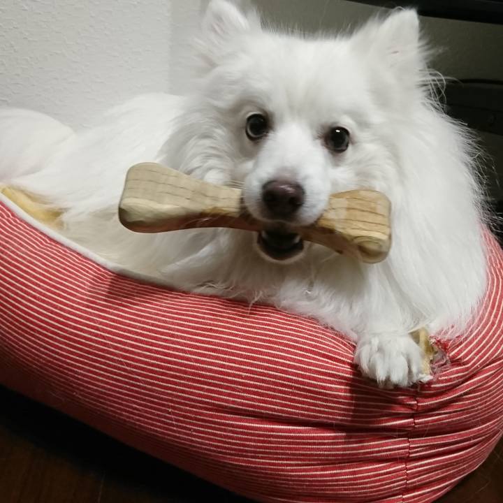 89e0a16c 17b5 4e30 b0da 536e1ac33db7 1611475440308