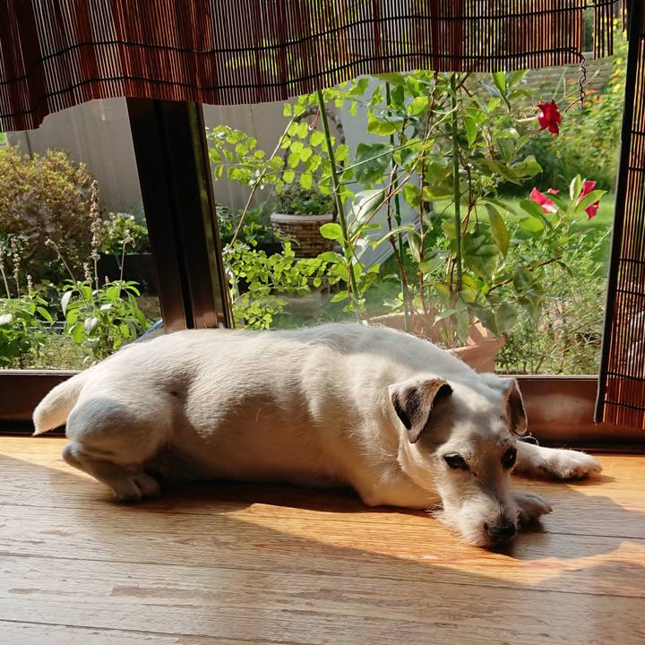 89e0ccfd cac1 4abe 8444 410d68674aec 1532475247950