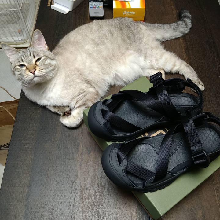 89e0d109 4cae 4839 b875 e8e7ec512489 1715519068065