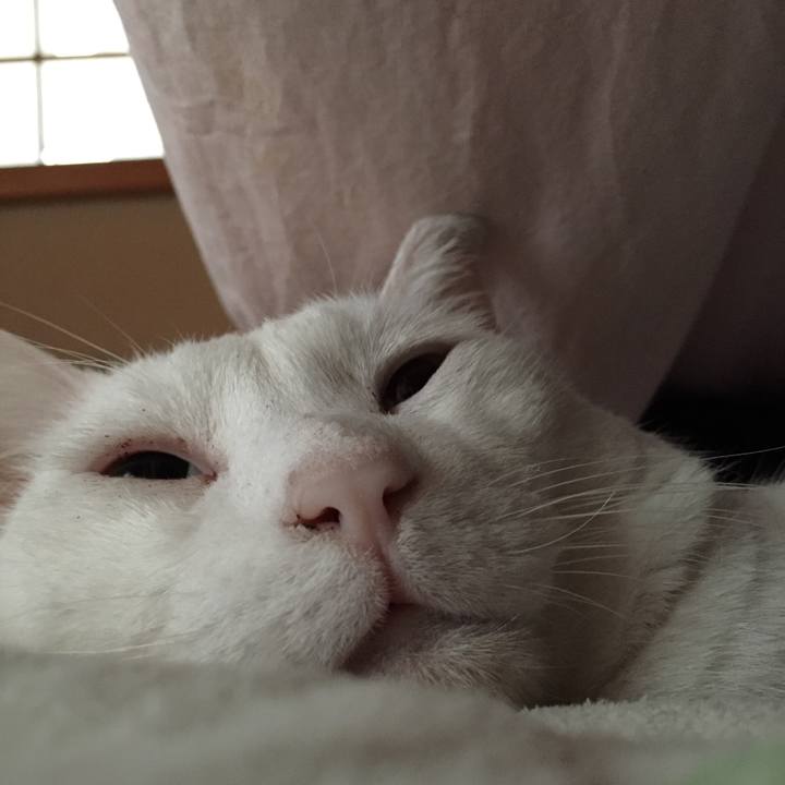 89e11748 ef8e 476c 9c9b e15c75341f92 1513809783509