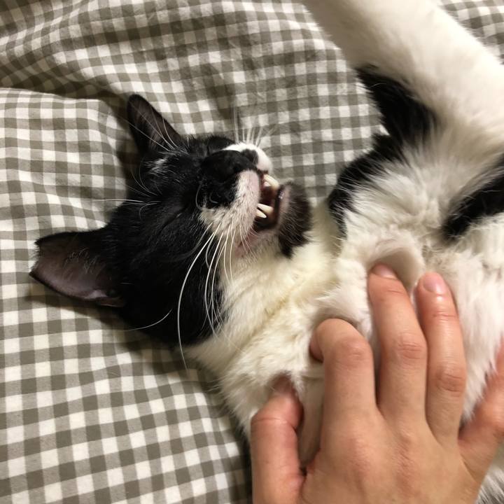 89e129e9 0c7e 425b 892c a509601e8229 1548705958894