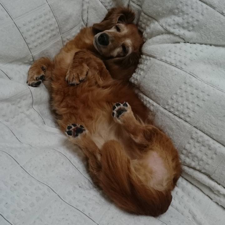 89e12b03 8330 4264 8a0f 62017072e168 1655572205092