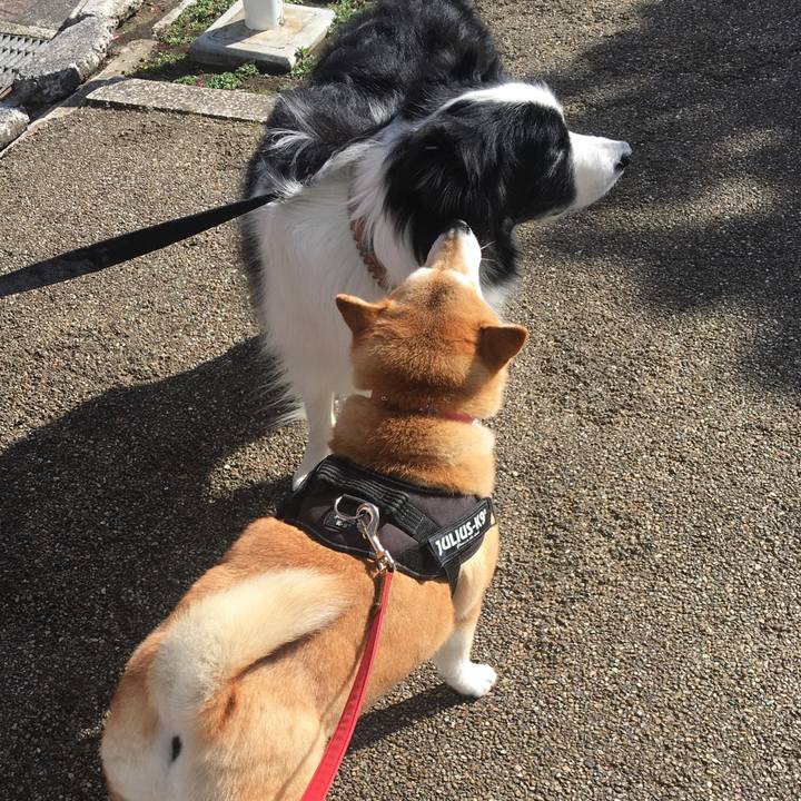 89e12d14 c3ec 4375 b153 b5c63fa37cd5 1613624243435