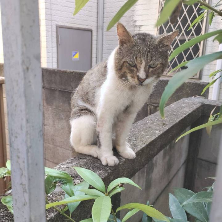 89e13d6c 2923 4f3e 902d 0fc71a8a2da8 1760018022448