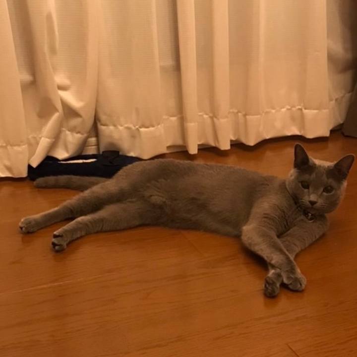 89e15a9d 34c8 4852 9a1e e51858802e60 1634554757298