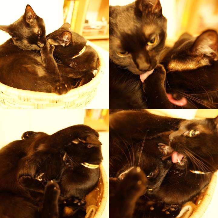 89e15d66 9b43 4154 89db 3ffdcc7109bf 1546595336389