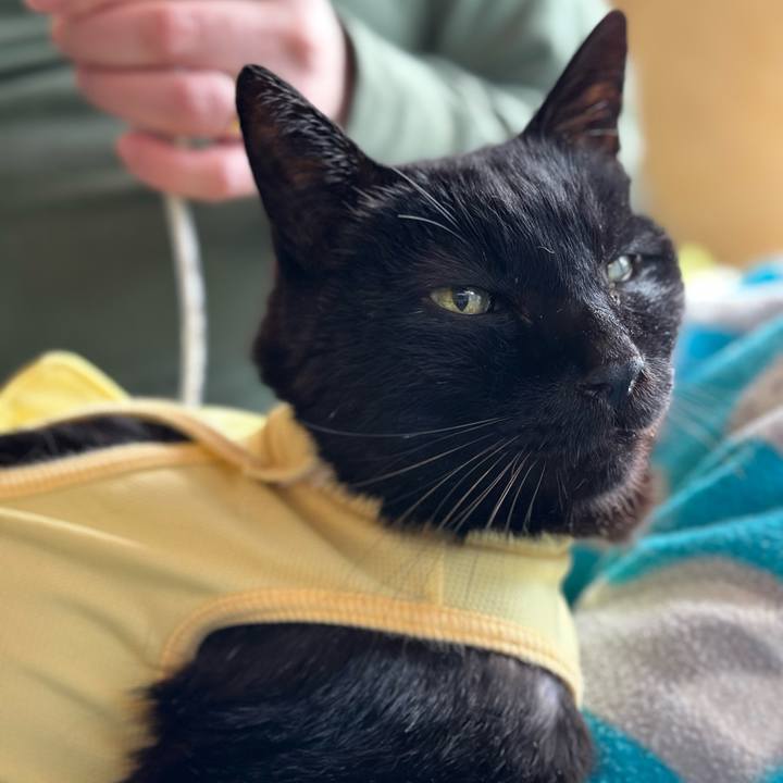 89e178d9 ce2d 4ea0 9f84 254c7788b24f 1715481800898