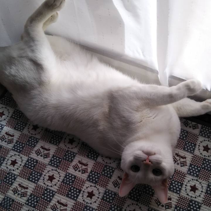 89e17abb 022f 44f7 b129 24f7614be1f6 1554355923359