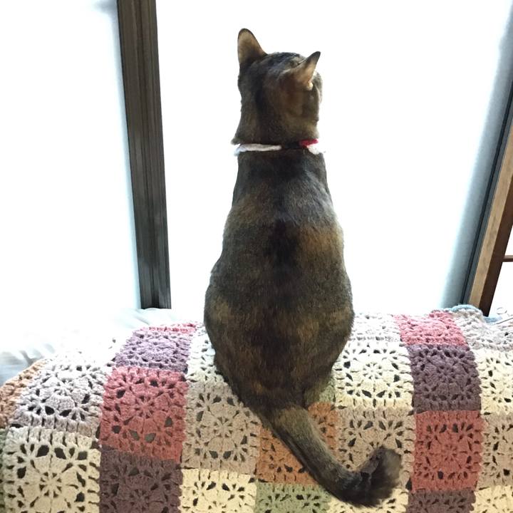 89e19123 532c 4b57 b51b 57ed916773fb 1609388356017