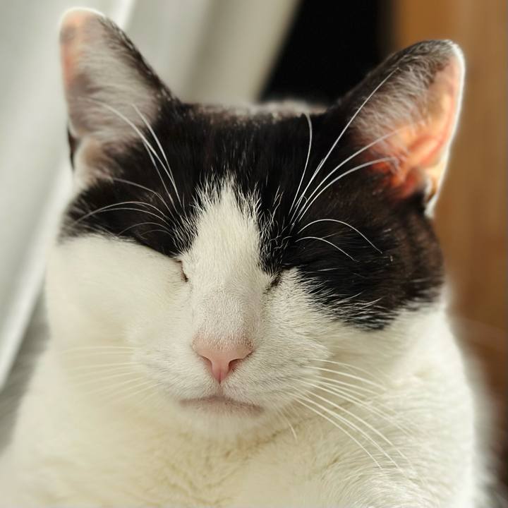 89e193b7 0b4d 4c24 8486 cb89c0a134aa 1677548573974