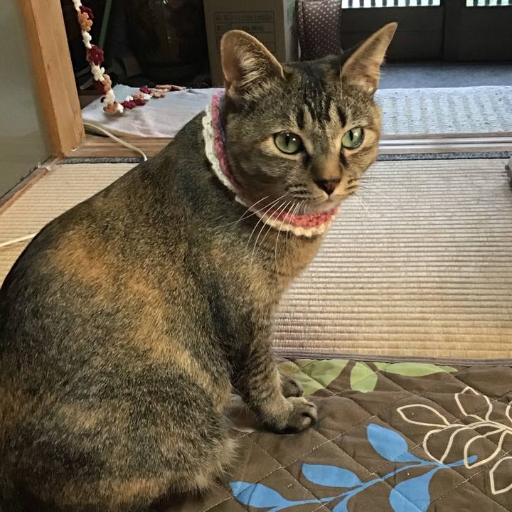 89e1ab48 03ec 453e bc64 416fadf930d0 1617697267329