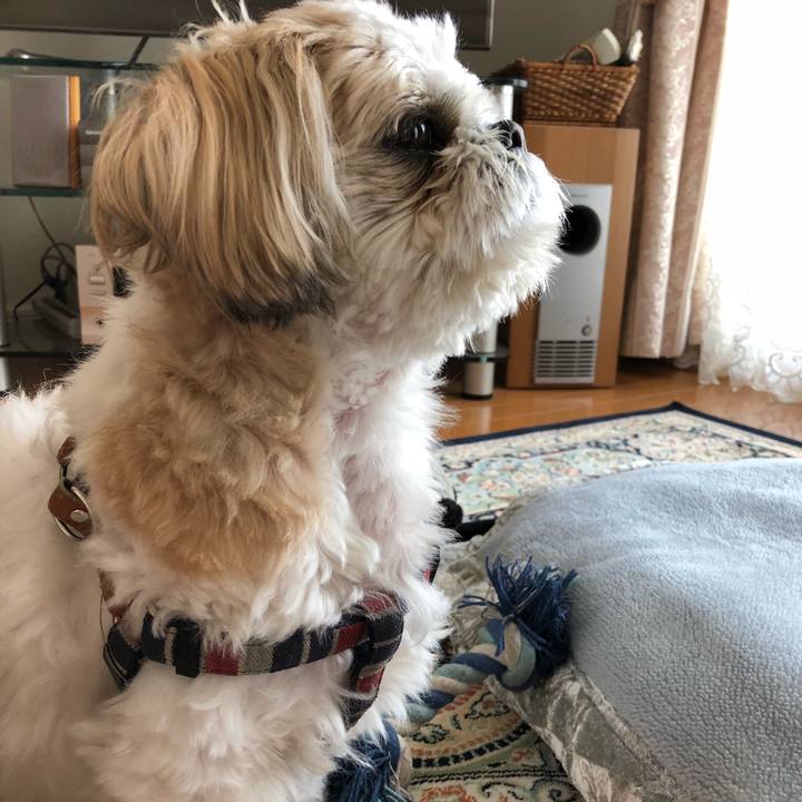 89e262a0 9258 4c9a 97af a36405247266 1524173836081