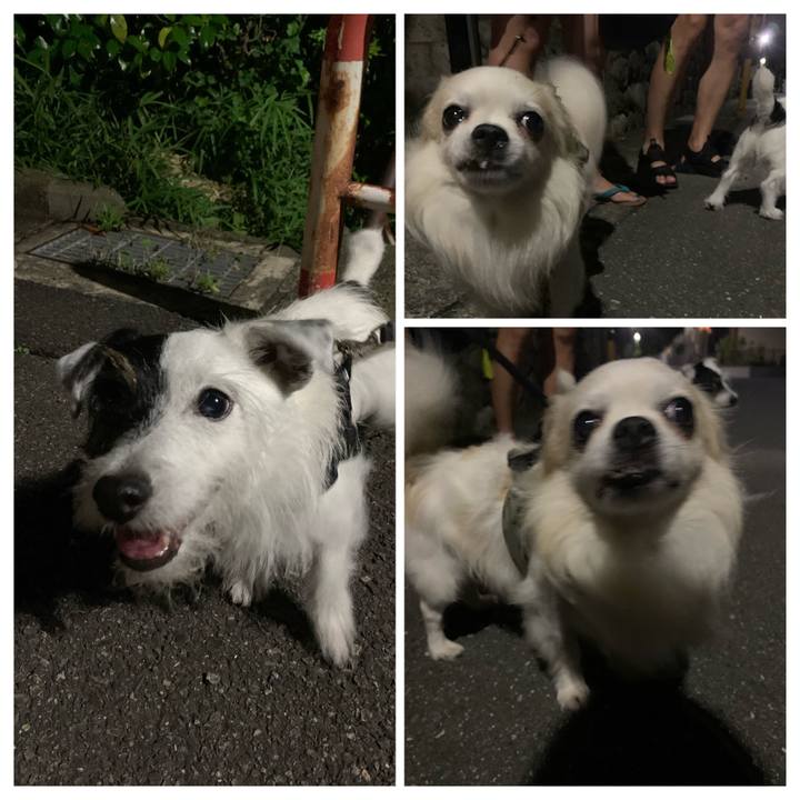 89e28051 fe3b 4251 bc08 545175bb9849 1658842695398