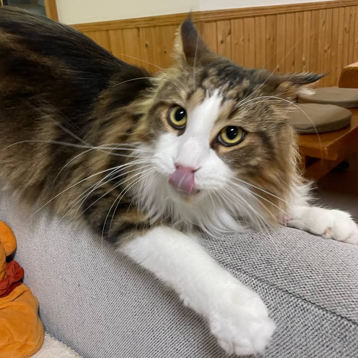 89e28eee 3a13 449c 87a6 caa728ea90b3 1671738156530