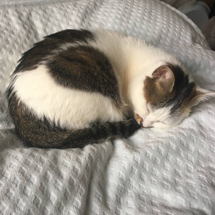 89e2e5b1 7aea 4b82 ae5b 3b289acbd2e1 1557197830021