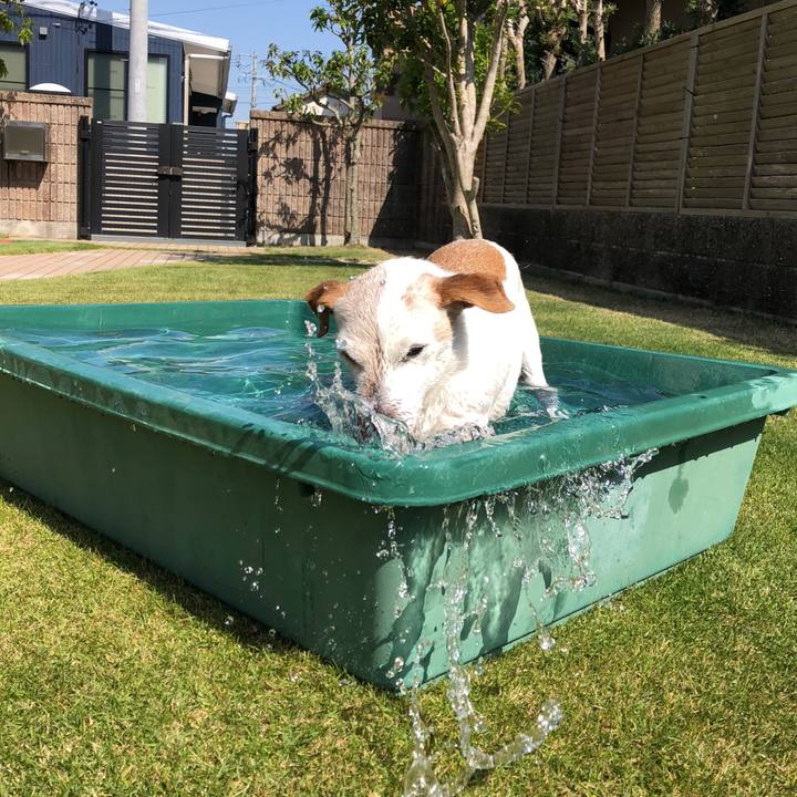 89e2ef50 a411 49ce bee8 eebc9fef768e 1524303468859