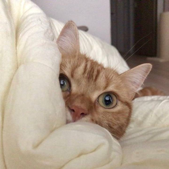 89e2f1d1 2e4e 4e9e b471 a7fae4f3006a 1536970964857